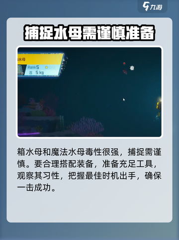 潜水员戴夫水母抓取秘籍💡手游玩家必看！截图6