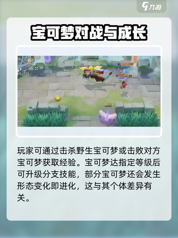 宝可梦大集结一局几分钟介绍截图3