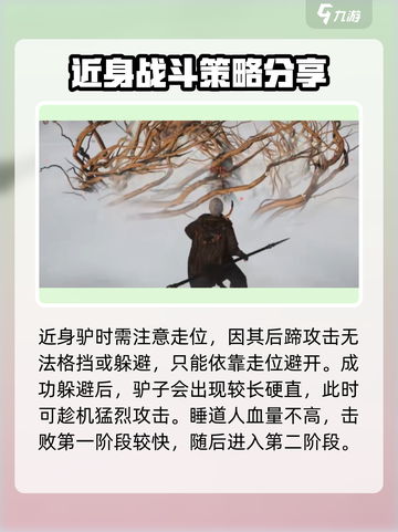 燕云十六声野外首领睡道人攻略介绍截图4