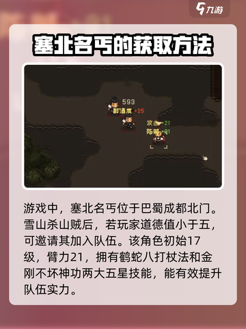 大江湖之苍龙与白鸟🔥塞北名丐位置揭秘！丐帮秘籍等你来取🎉截图2