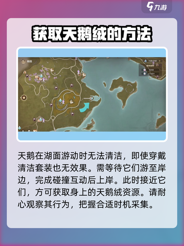 无限暖暖🔥玫色天鹅绒获取方式大揭秘！截图3
