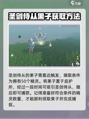 洛克王国世界圣剑侍从怎么样介绍截图4