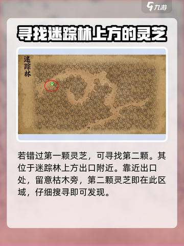 大侠立志传迷踪林灵芝在哪介绍截图4