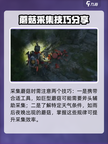 七日世界蘑菇在哪采集介绍截图5