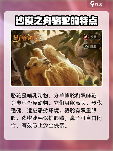 野兽领主新世界🔥骆驼最强攻略🎉截图2