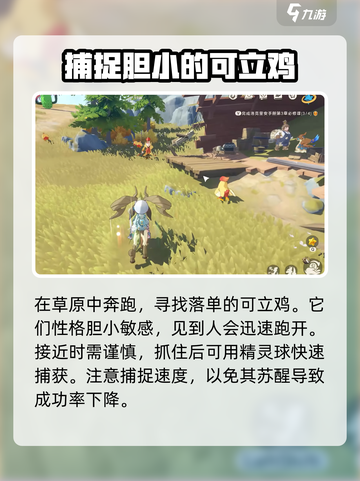 洛克王国💥可立鸡技能搭配攻略来啦！🔥截图4