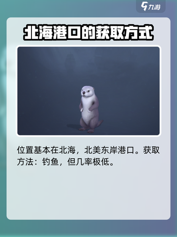 黎明之海🔥海獭宠物获取攻略来啦！萌宠伴你冒险 Voyage截图2