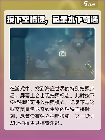 潜水员戴夫拍照怎么拍介绍截图2