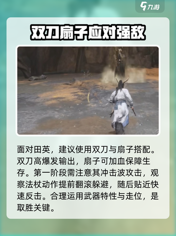 燕云十六声🔥刺客田英打法攻略，轻松通关秘籍！截图2