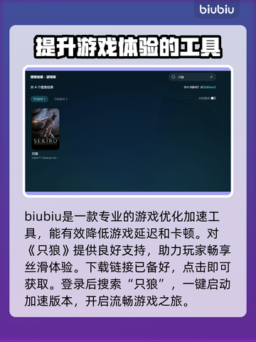 只狼闪退？加速器来救场！🎮🔥截图3