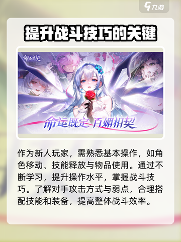 命运圣契🔥新手必看！玩转游戏全攻略✨截图5