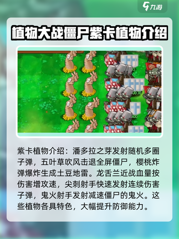 植物大战僵尸抽卡版词条强度一览介绍截图4