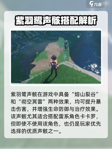🎮鸣潮紫羽鹭技能曝光！强度爆表？截图3