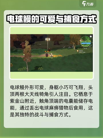 妖之乡电球鳗怎么样介绍截图2