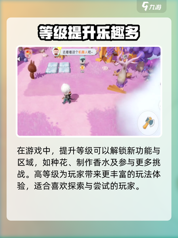 《梦想家园》速升攻略🔥🎮截图4
