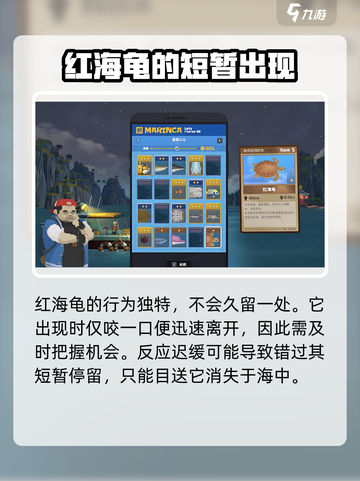 潜水员戴夫📖海龟拍照点位置全攻略！🔥截图3