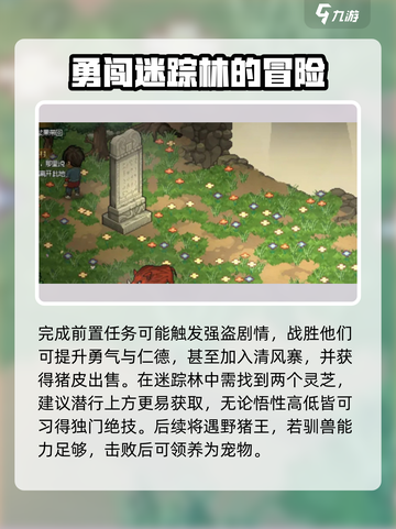 大侠立志传🔥全玩法攻略，新手必看！🎮截图3