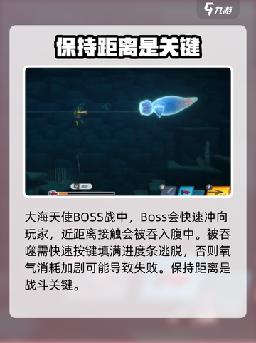 潜水员戴夫大海天使任务攻略介绍截图4