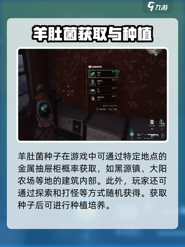 七日世界羊肚菌有什么用介绍截图2