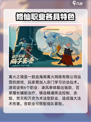 离火之境是哪个公司的游戏介绍截图2