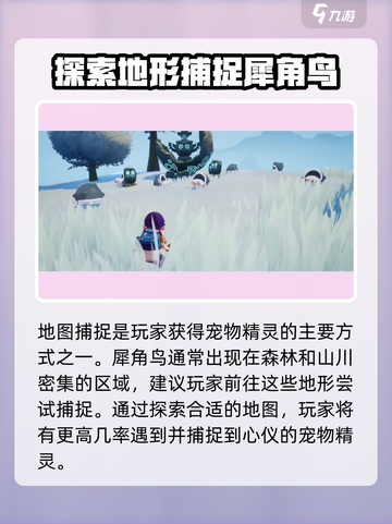 洛克王国手游犀角鸟怎么获得介绍截图4