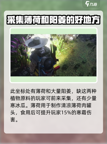 七日世界雪国人生薄荷在哪介绍截图3