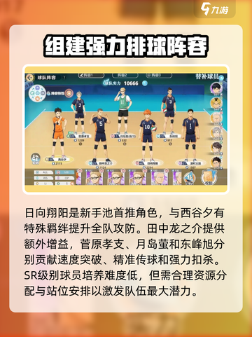排球少年手游🔥乌野低配队最强阵容🔥截图4