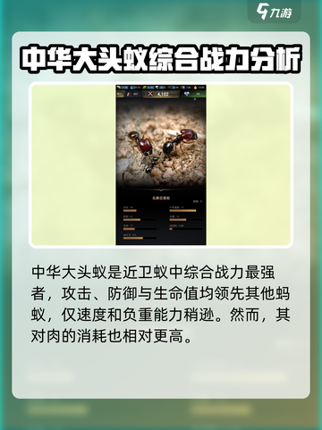 小小蚁国蚂蚁排名介绍截图2