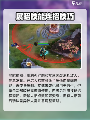 曙光英雄⚡展昭新手必看！轻松上分攻略✨截图4