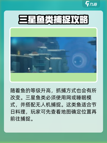潜水员戴夫平鳍旗鱼介绍介绍截图3