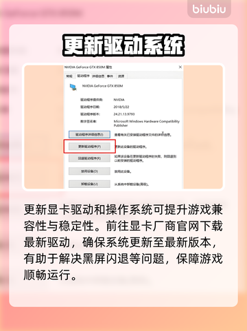 🎮《无主之地4黑屏闪退？一招解决！》💥截图3