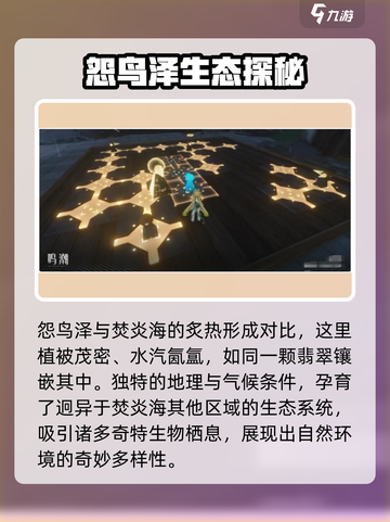 鸣潮怨鸟泽在哪介绍截图3