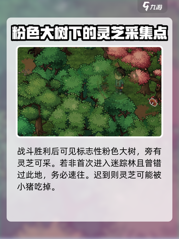 大侠立志传迷踪林灵芝在哪介绍截图3