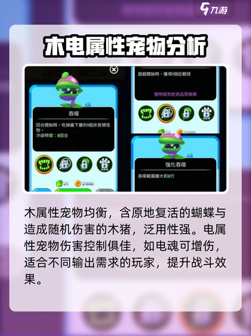 砰砰计划🔥法师宠物最强属性曝光💥截图5