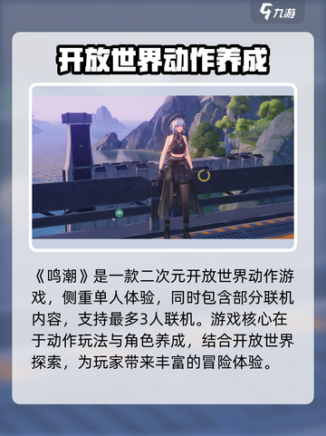 鸣潮🔥：单机or网游？真相让你意想不到！🎮截图2