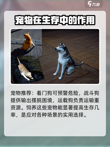 黎明觉醒宠物有哪些介绍截图3