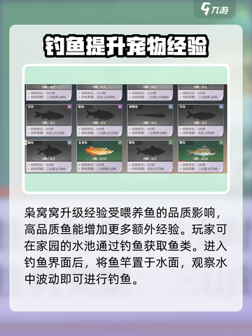 三国志幻想大陆2枭之歌枭窝窝怎么玩介绍截图3