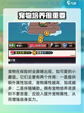 冒险者日记🔥宠物作用全解析！游戏必备✨截图2