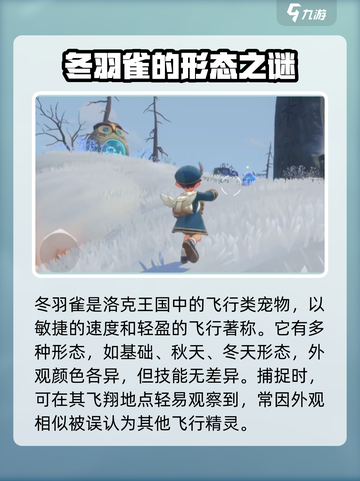 洛克王国手游炫彩冬羽雀怎么捕捉介绍截图2