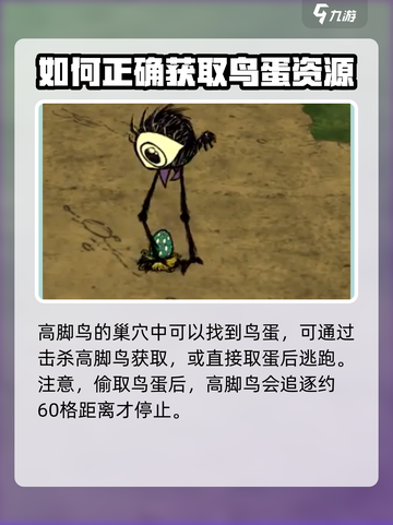 饥荒联机版🤩高脚鸟蛋孵化方法大公开🎉截图2