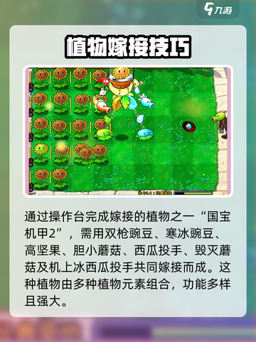 植物大战僵尸嫁接版植物有哪些介绍截图4