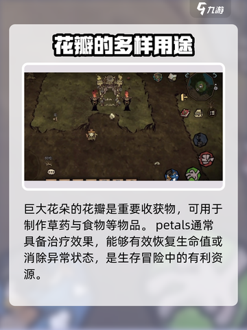饥荒新家园巨大的花朵有什么用介绍截图2
