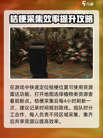 七日世界桔梗在哪里采集介绍截图4
