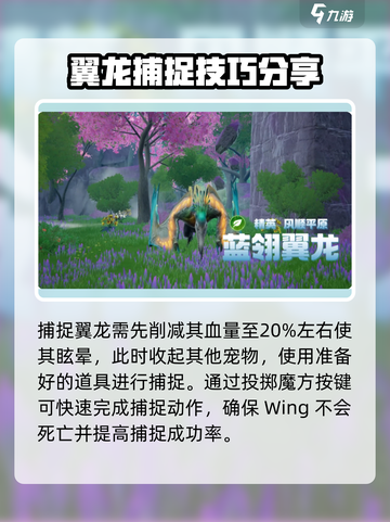 游戏名《创造吧我们的星球》：翼龙抓捕大揭秘🔥🦖截图4