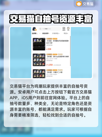 鸣潮🎮自抽号购买平台推荐🔥超值必看！截图2