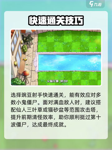 《植物大战僵尸杂交版🔥头脑风暴通关秘籍💥》截图2