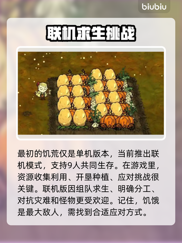 饥荒联机卡顿？这些🔥技巧让你流畅游戏！截图2