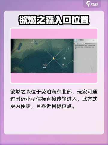 鸣潮🔥欲燃之森位点大公开！游戏玩家必看💡截图2