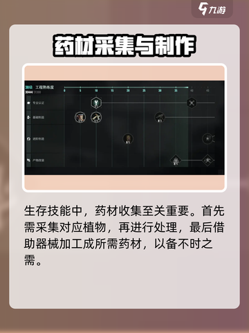 《破碎之地》生活技能大揭秘！🔥截图4