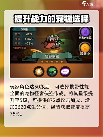 迷雾大陆🔥最强宠物排行榜！你值得拥有✨截图3